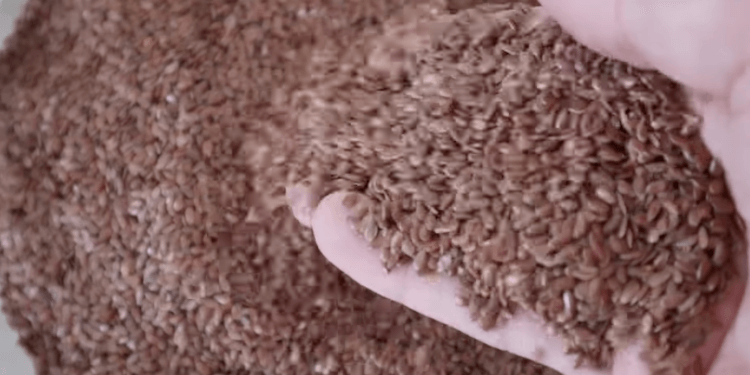 How to Make Your Own DIY Healthy Homemade Chicken Feed