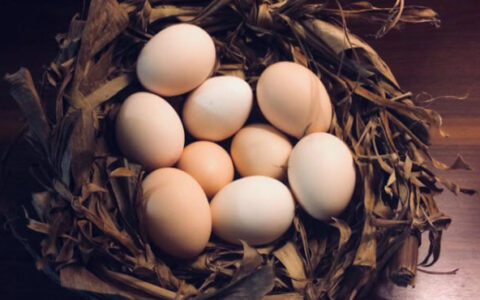 How To Make A Hand-woven Chicken Nest