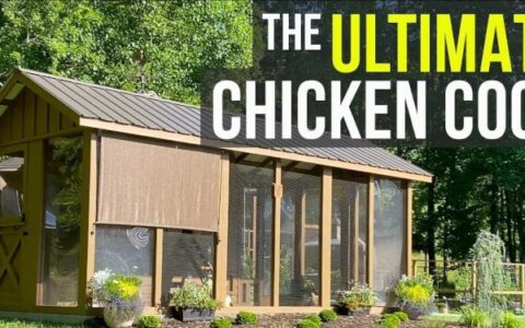 Farmer Builds Dream Chicken Coop Run and Playground