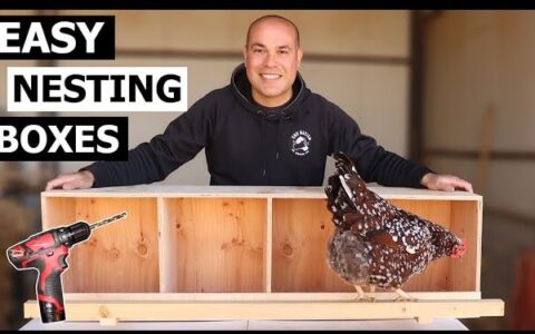 Nesting Boxes for Chickens - How to Build Chicken Nest Boxes