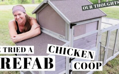 Prefab Chicken Coop Assembly: A Comprehensive Guide for Beginners