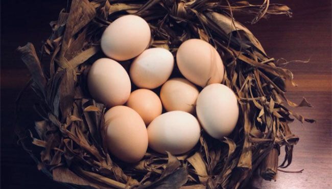 how-to-make-a-hand-woven-chicken-nest.jpg