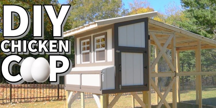DIY Backyard Chicken Coop: A Comprehensive Guide